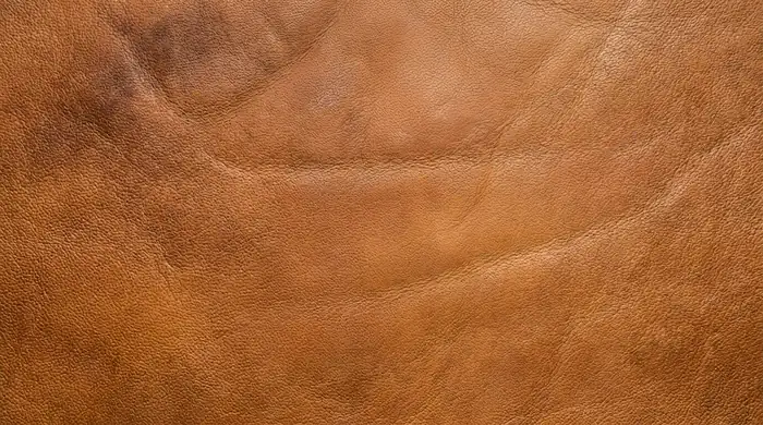 Top grain leather